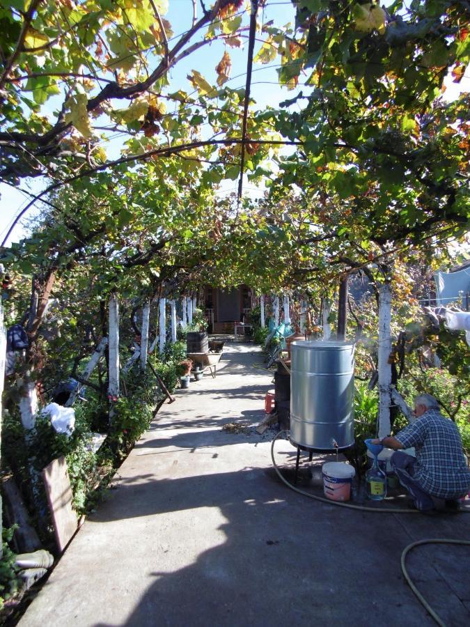 Florians Guesthouse ชโคเดอร์ ภายนอก รูปภาพ